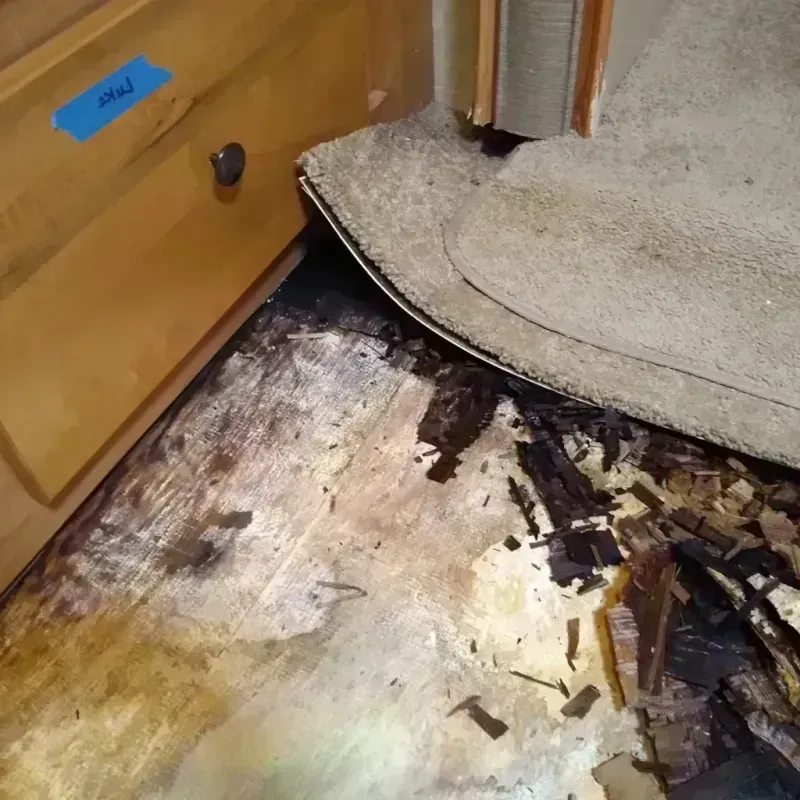 Best Wood Floor Water Damage Service in Phenix City, AL